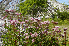 2D5A5E98-EC46-4952-8603-71AA6C7F9A4A